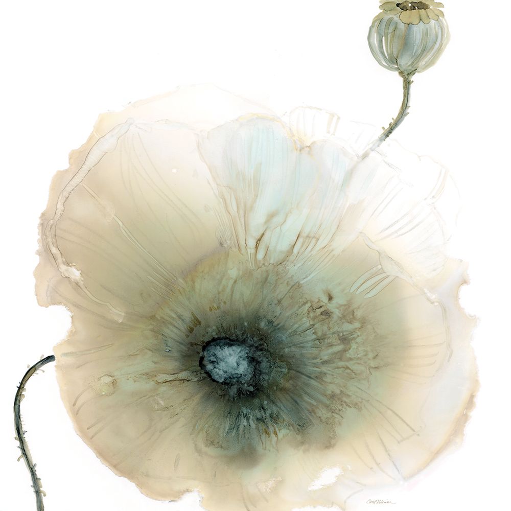 Iridescent Poppy I art print by Carol Robinson for $57.95 CAD