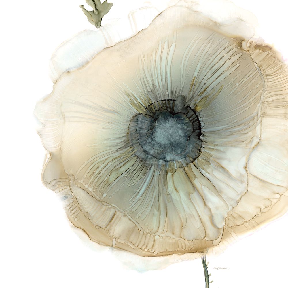 Iridescent Poppy II art print by Carol Robinson for $57.95 CAD