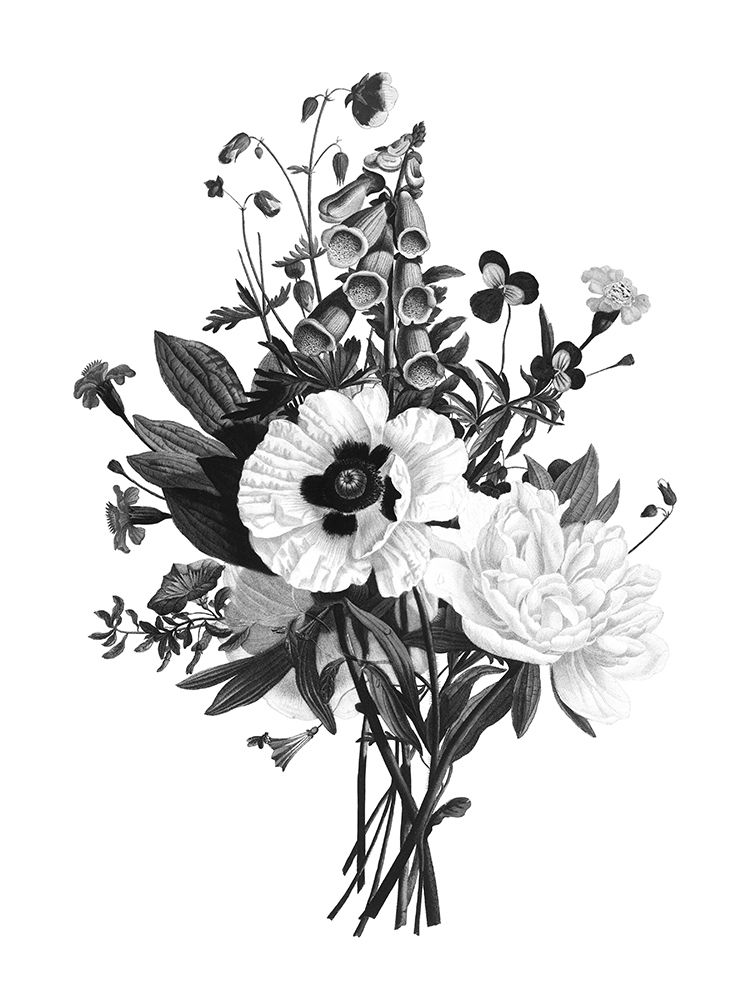 Botanical Black and art print by Kelly Donovan for $57.95 CAD