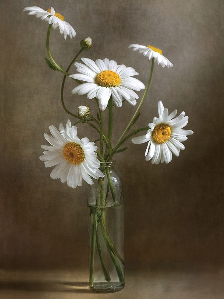 Still Life I art print by Mandy Disher for $57.95 CAD