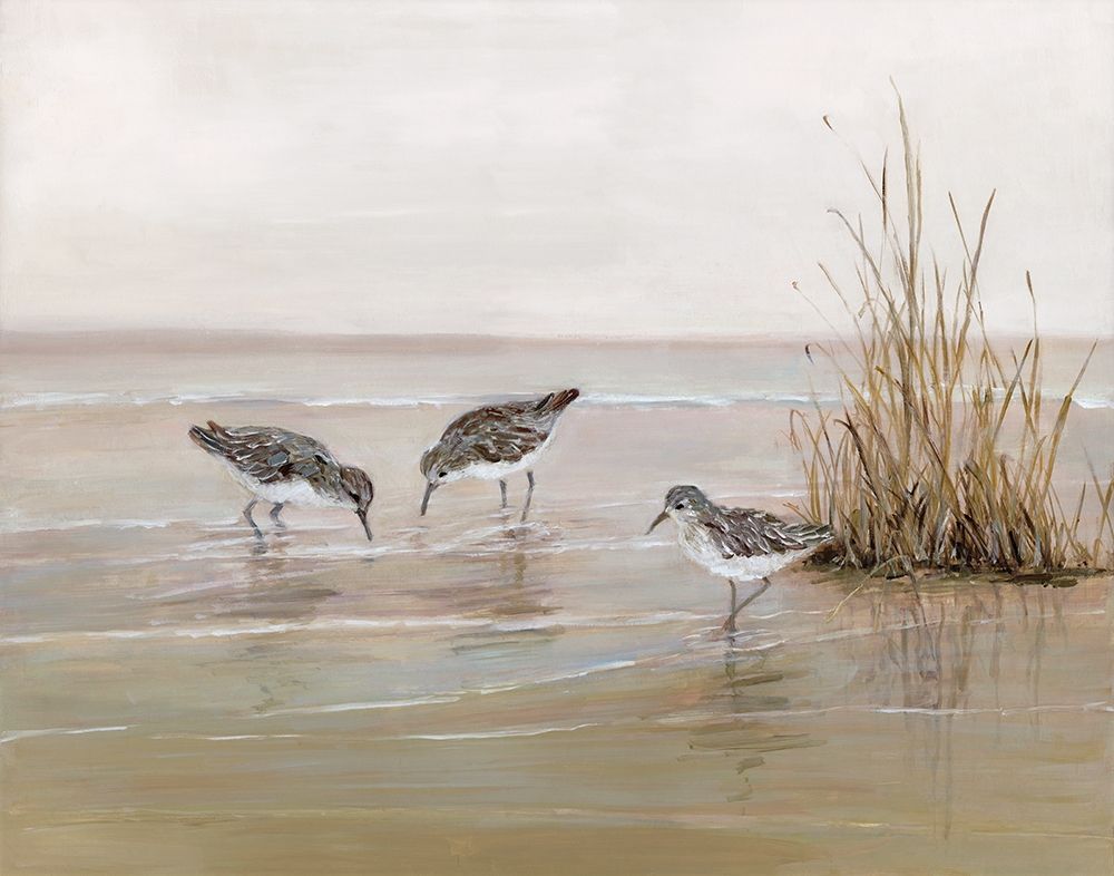 Early Risers II art print by Sally Swatland for $57.95 CAD