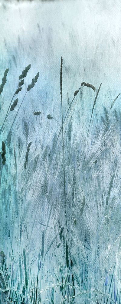 Blue Field art print by Irene Weisz for $57.95 CAD