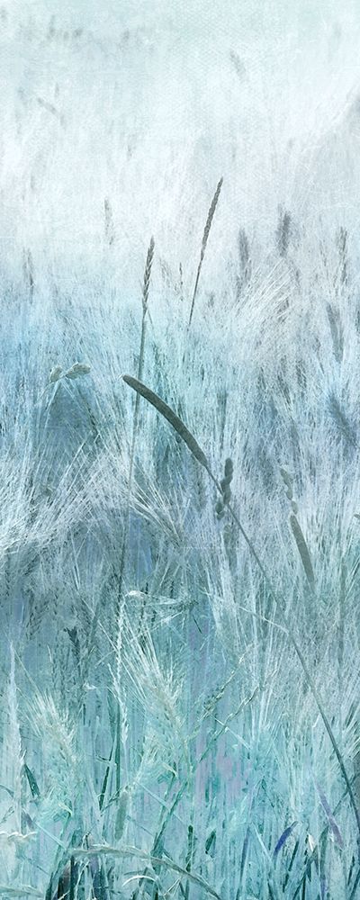Blue Field Forever art print by Irene Weisz for $57.95 CAD