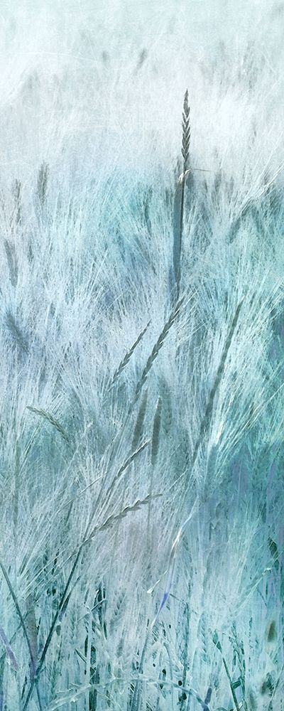 Blue Field art print by Irene Weisz for $57.95 CAD