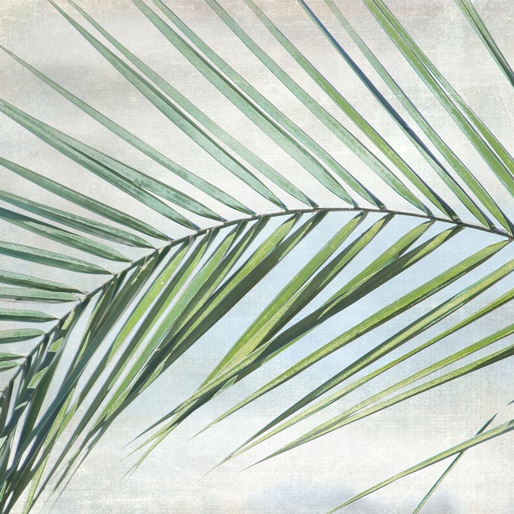 Palm View I art print by Irene Weisz for $57.95 CAD