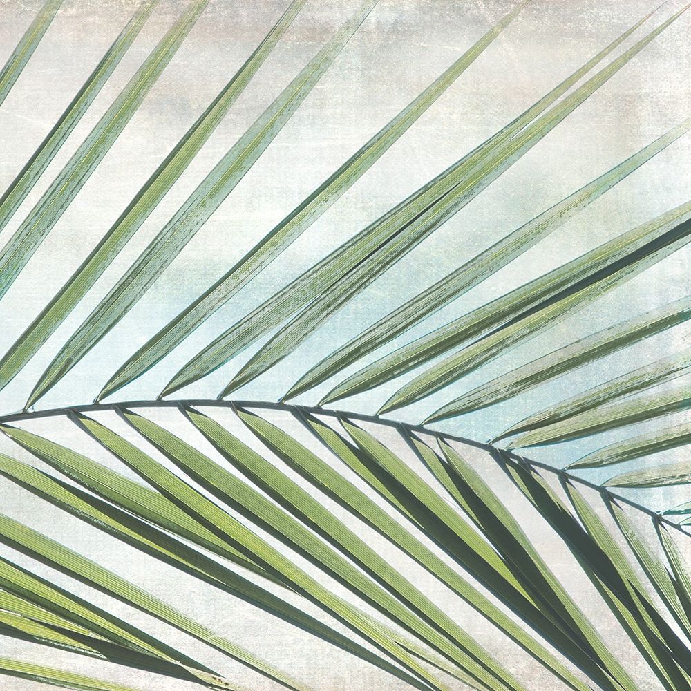 Palm View II art print by Irene Weisz for $57.95 CAD