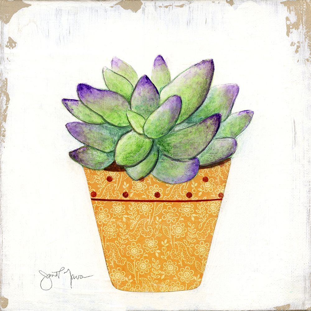 Boho Cacti IV art print by Tava Studios for $57.95 CAD