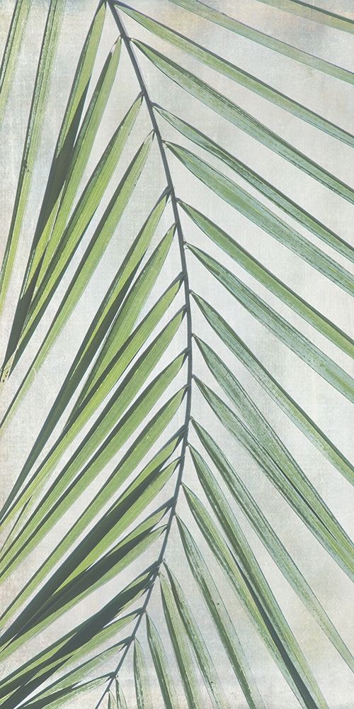 Palm Escape I art print by Irene Weisz for $57.95 CAD
