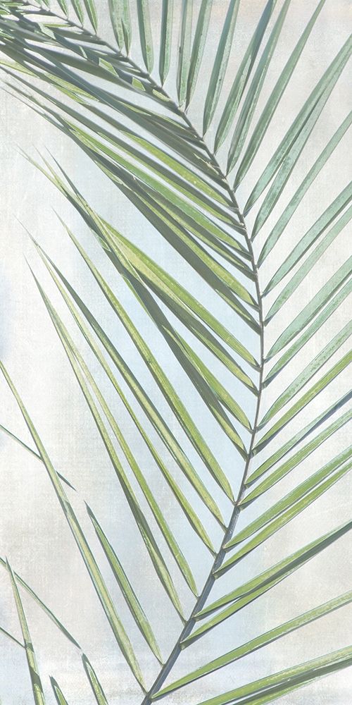 Palm Escape II art print by Irene Weisz for $57.95 CAD