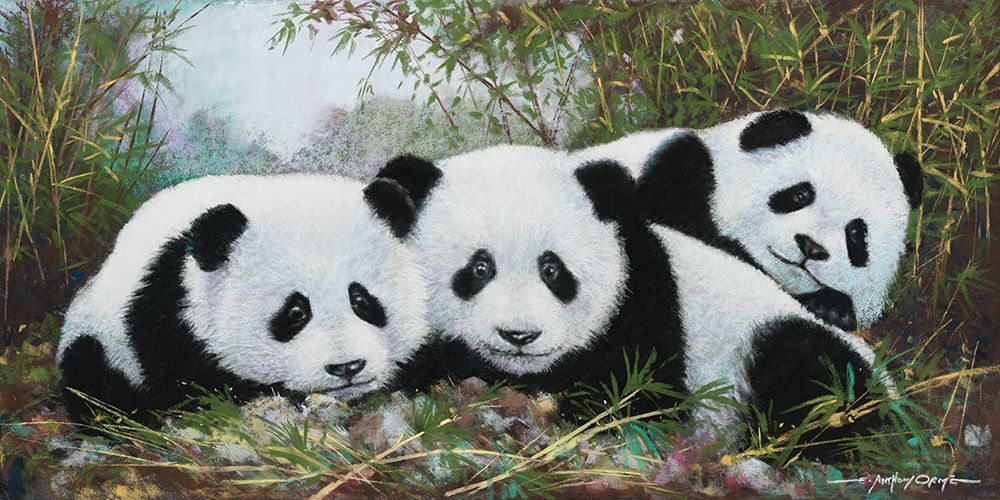 Panda Play art print by E. Anthony Orme for $57.95 CAD