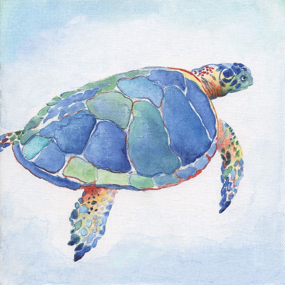 Galapagos Sea Turtle I art print by Tava Studios for $57.95 CAD