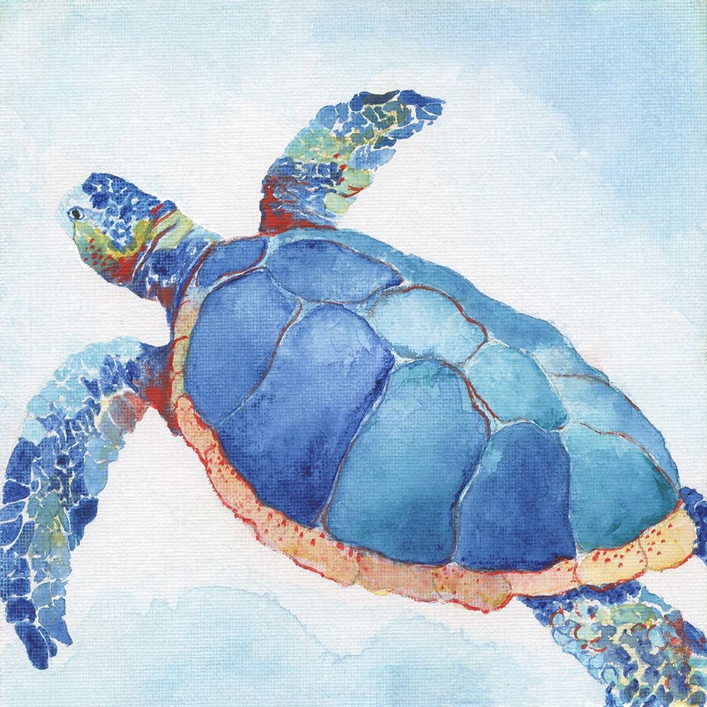 Galapagos Sea Turtle II art print by Tava Studios for $57.95 CAD