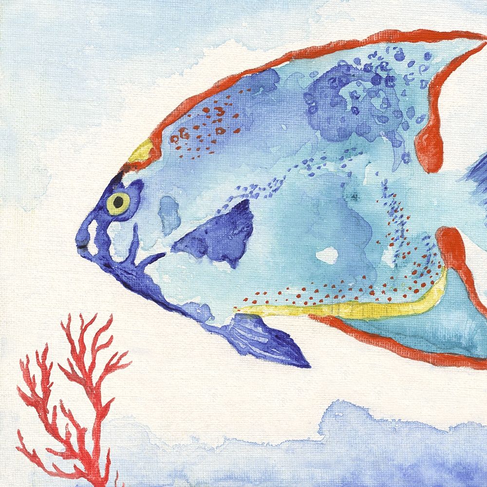 Galapagos Fish II art print by Tava Studios for $57.95 CAD