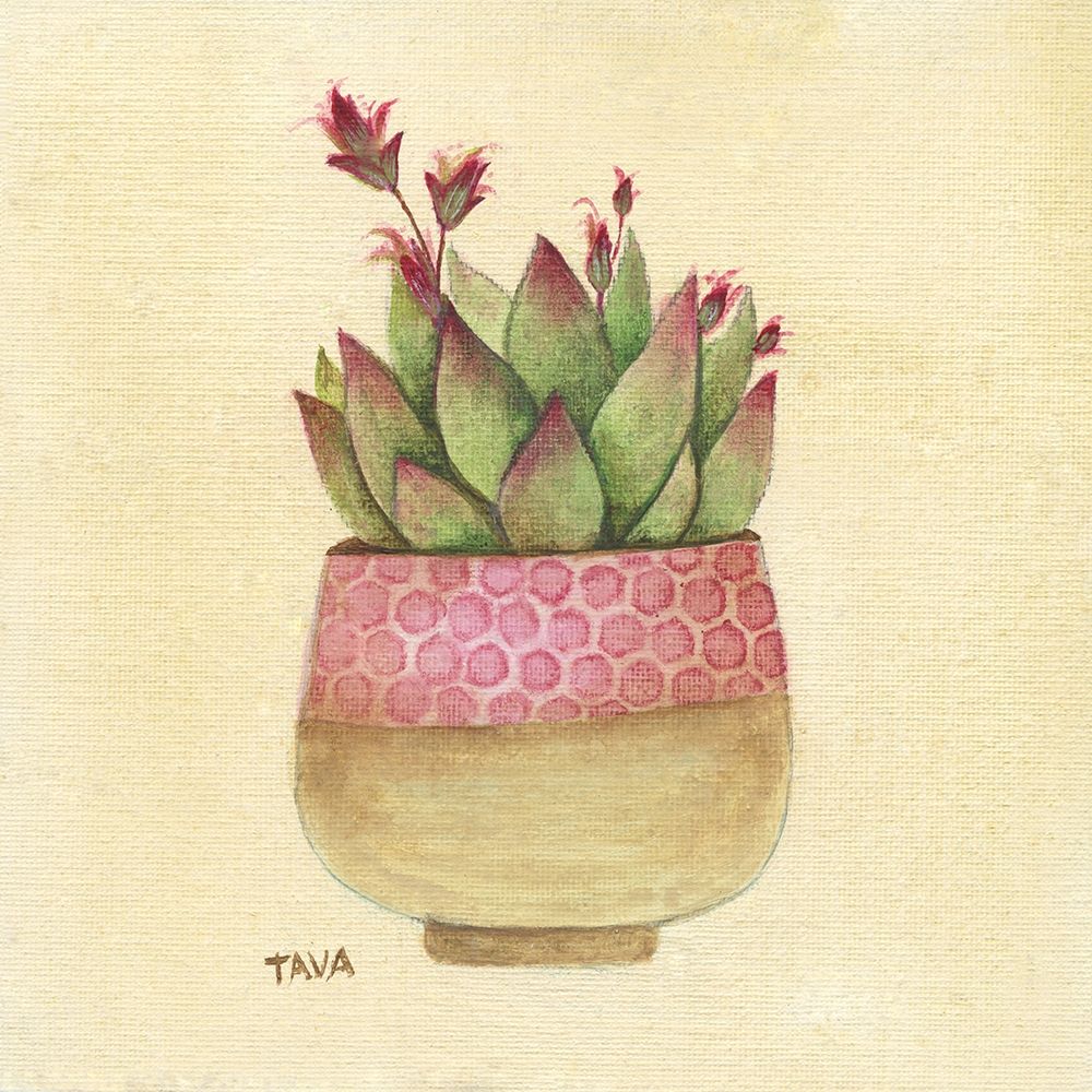 Flowering Succulent I art print by Tava Studios for $57.95 CAD
