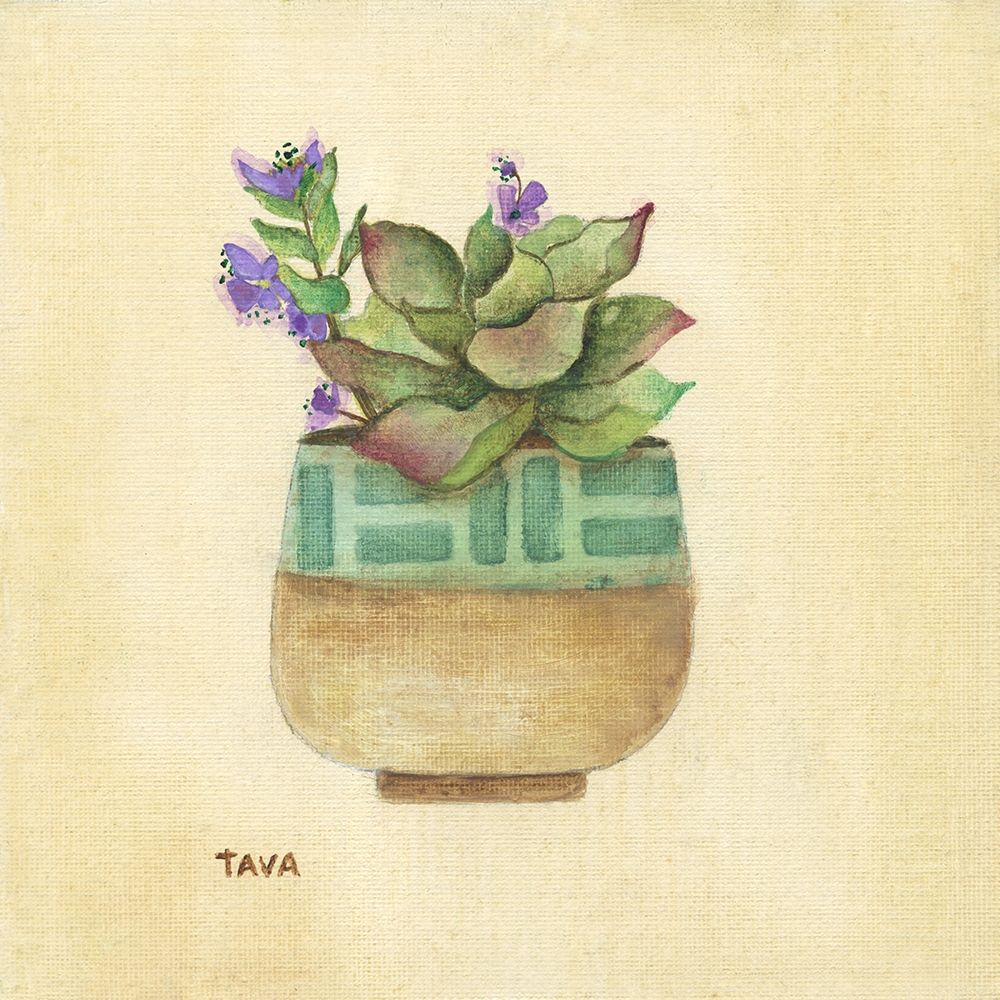 Flowering Succulent II art print by Tava Studios for $57.95 CAD