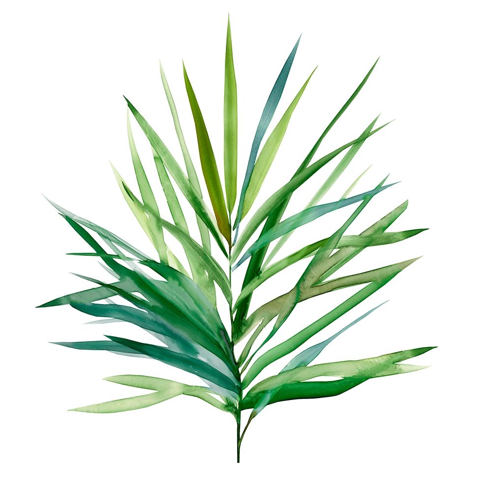 Palm Frond I art print by Carol Robinson for $57.95 CAD