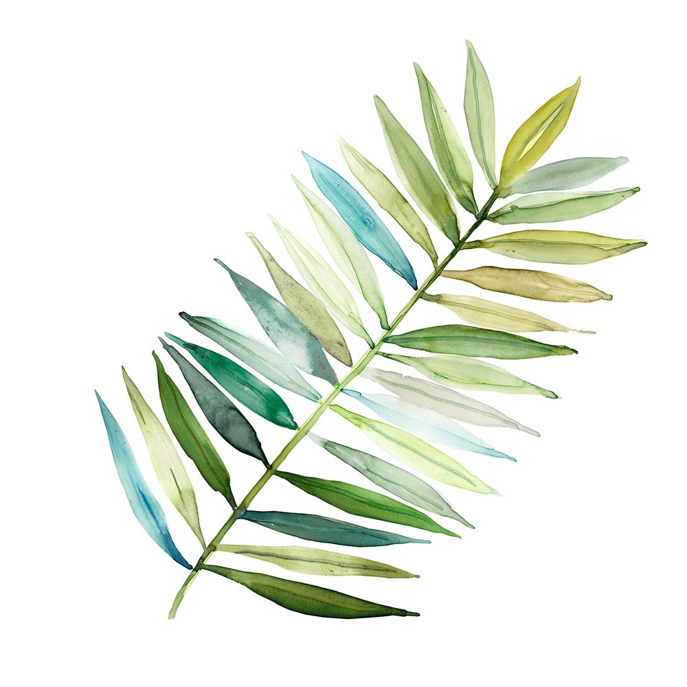 Palm Frond II art print by Carol Robinson for $57.95 CAD