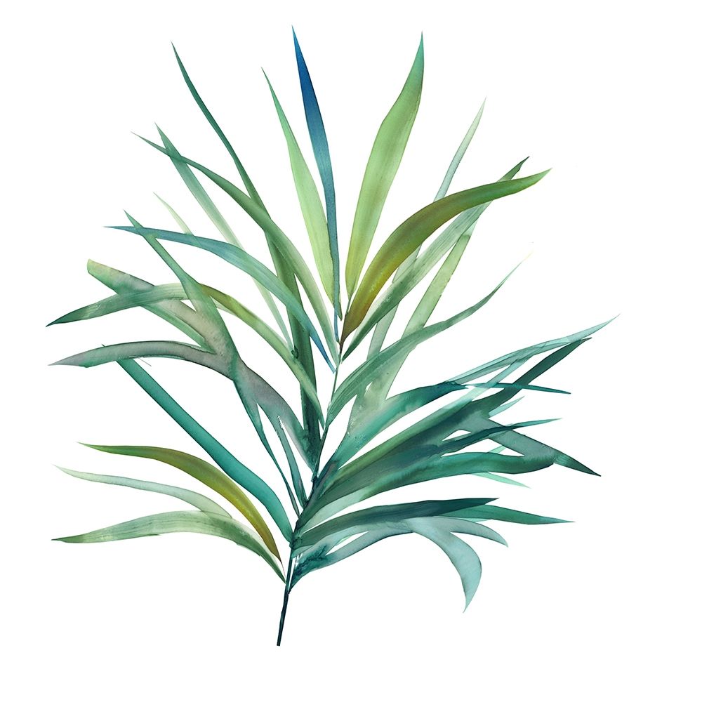 Palm Frond III art print by Carol Robinson for $57.95 CAD