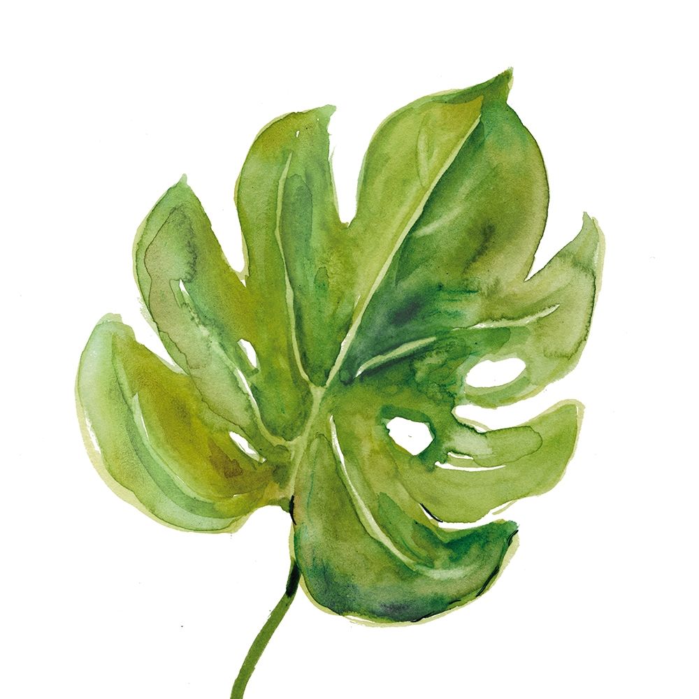 Tropical Frond I art print by Carol Robinson for $57.95 CAD