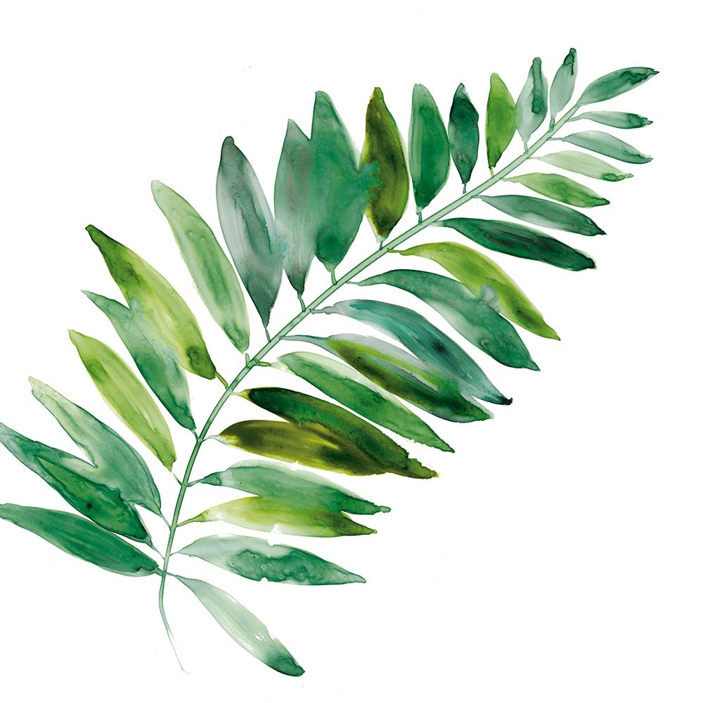 Tropical Frond II art print by Carol Robinson for $57.95 CAD