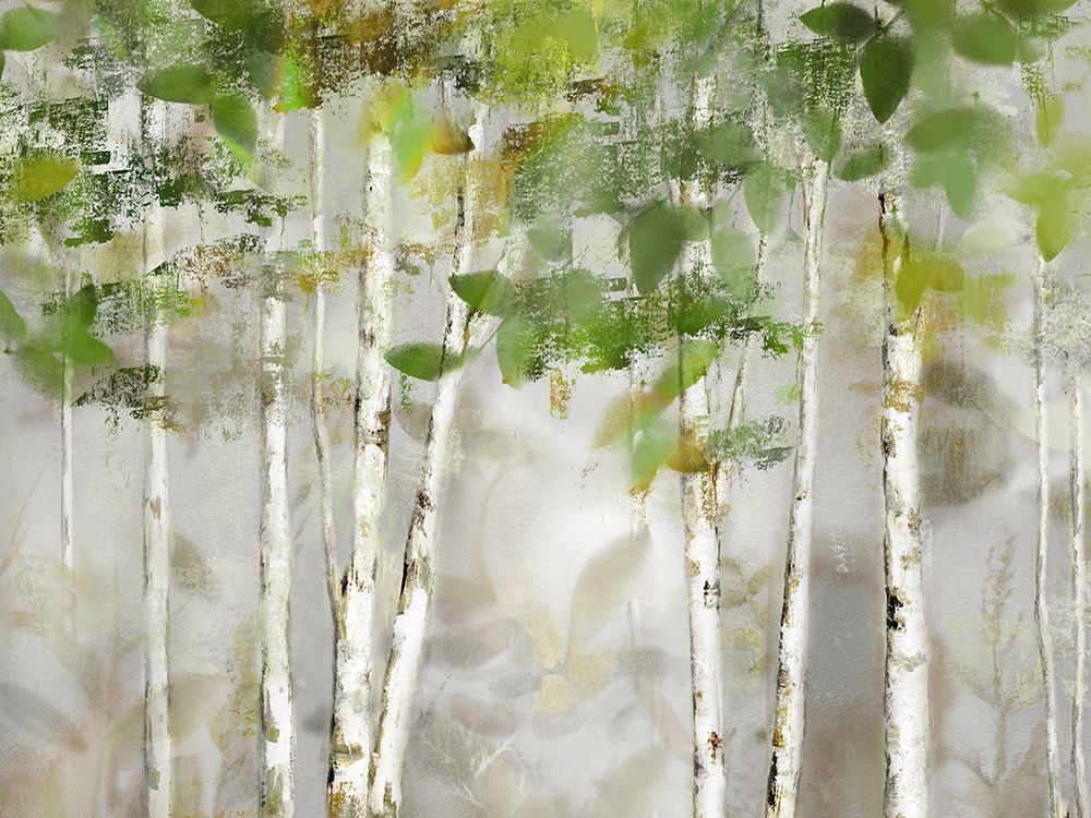 Evergreen Forest art print by Nan for $57.95 CAD