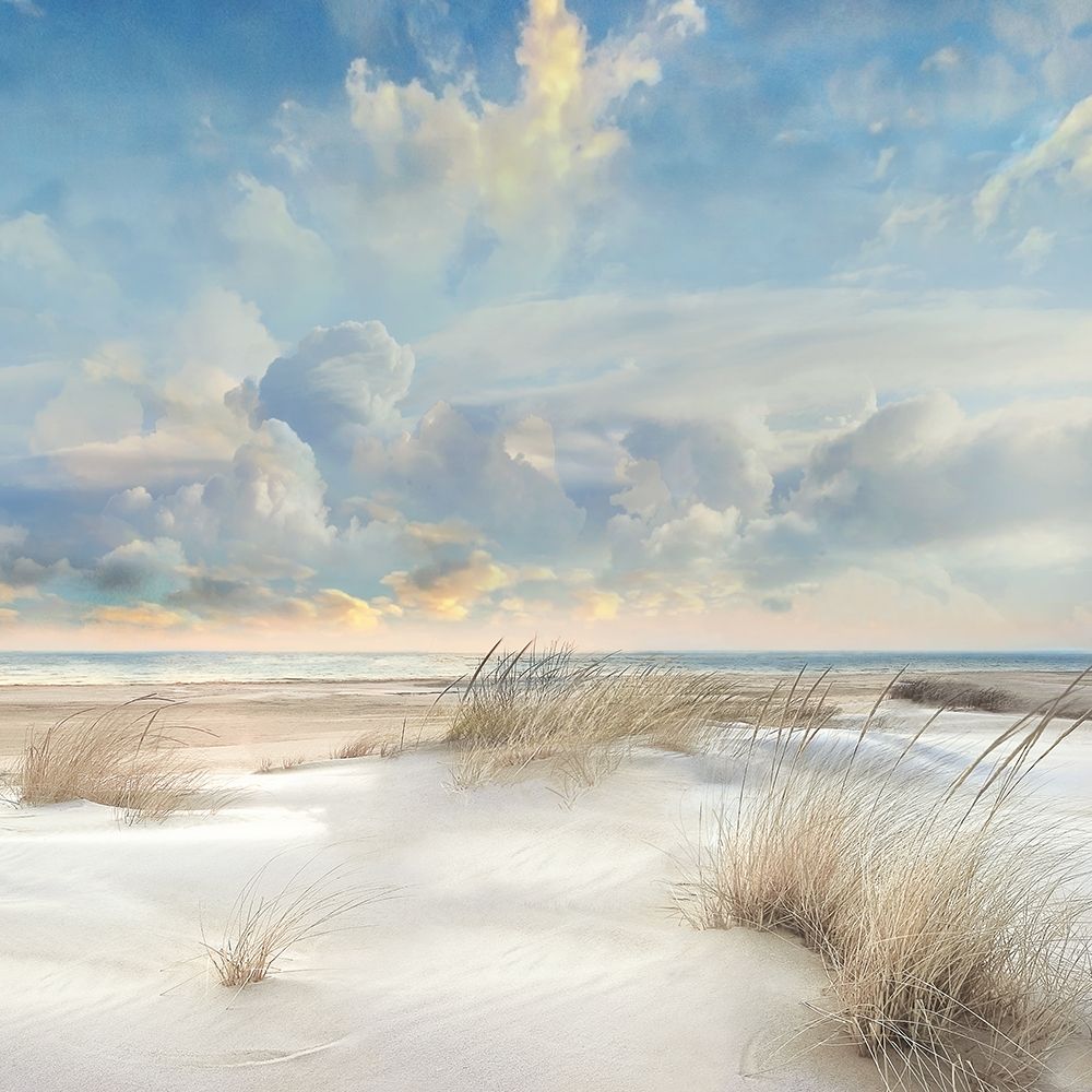Smooth Sands III art print by Mike Calascibetta for $57.95 CAD