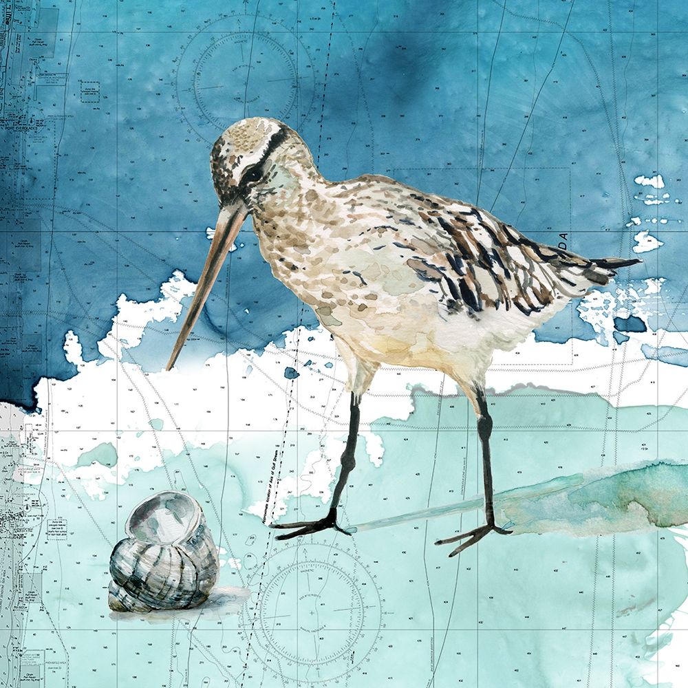 Bay Shore Sandpiper II art print by Carol Robinson for $57.95 CAD