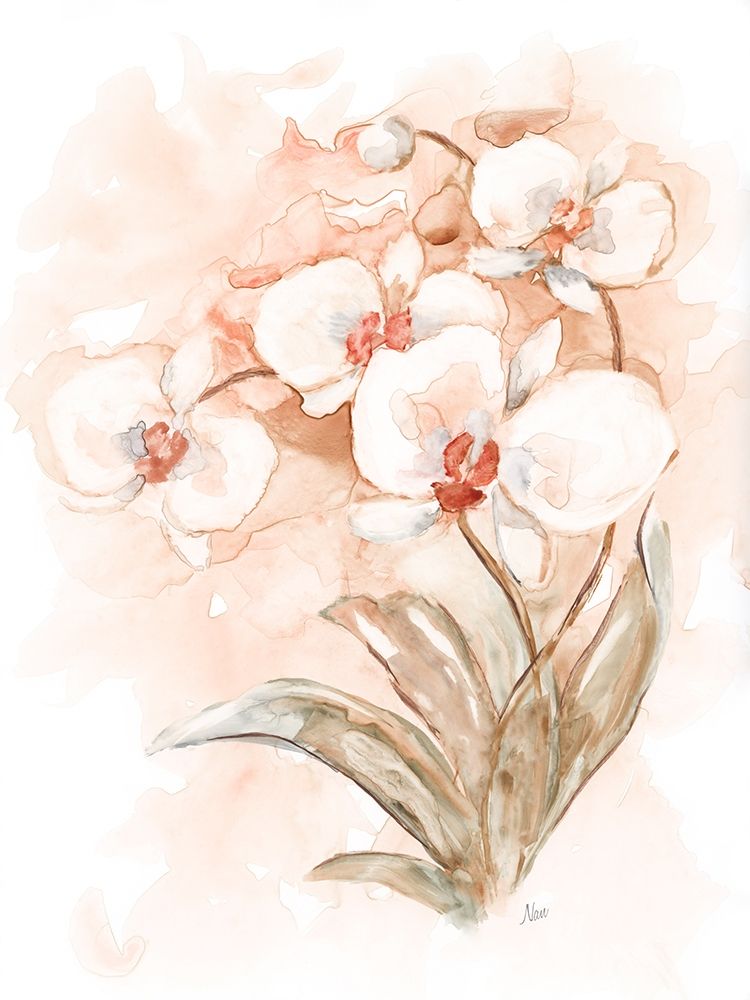 White and Coral Orchid II art print by Nan for $57.95 CAD