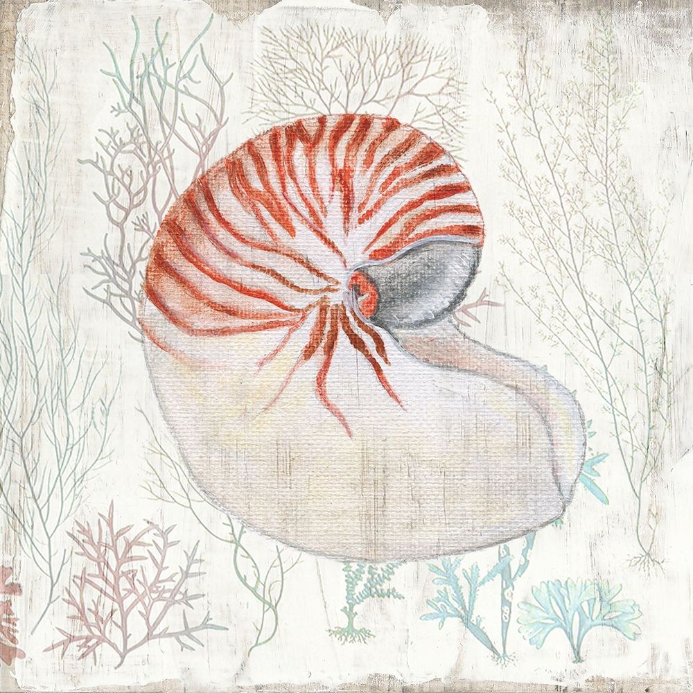 Coral and Shell I art print by Tava Studios for $57.95 CAD