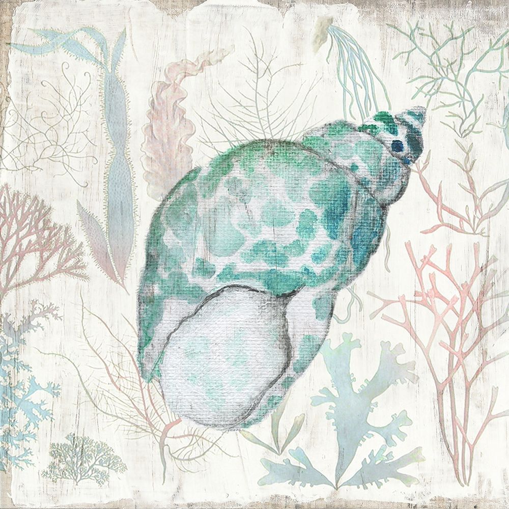 Coral and Shell IV art print by Tava Studios for $57.95 CAD