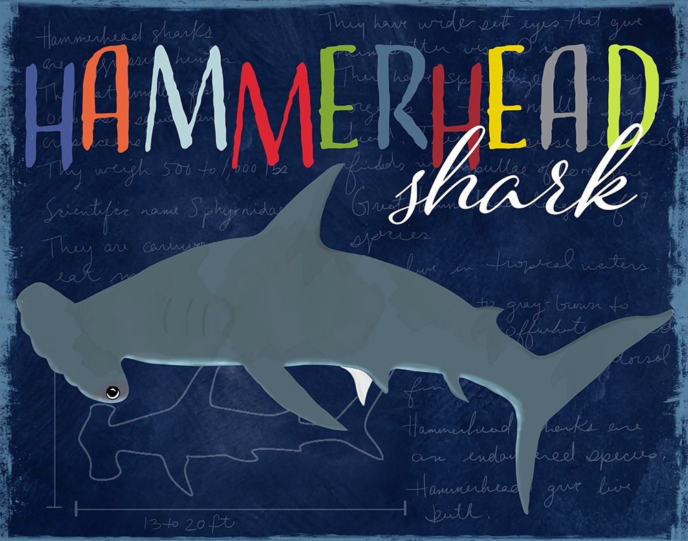 Hammerhead Shark art print by Daniela Santiago for $57.95 CAD