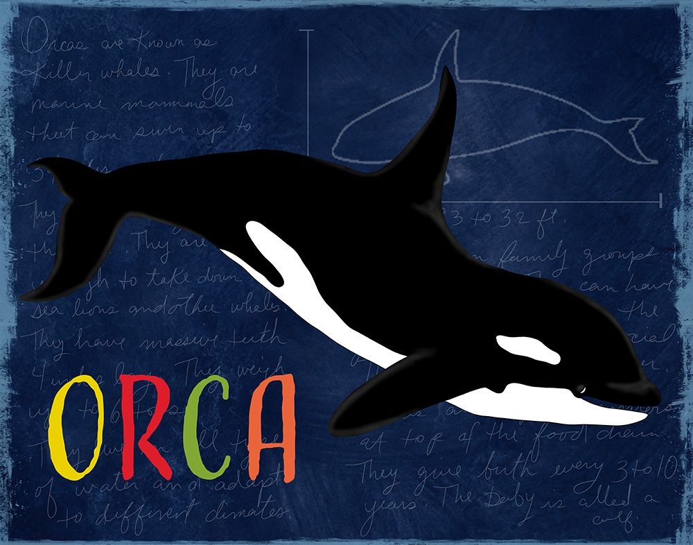 Orca art print by Daniela Santiago for $57.95 CAD