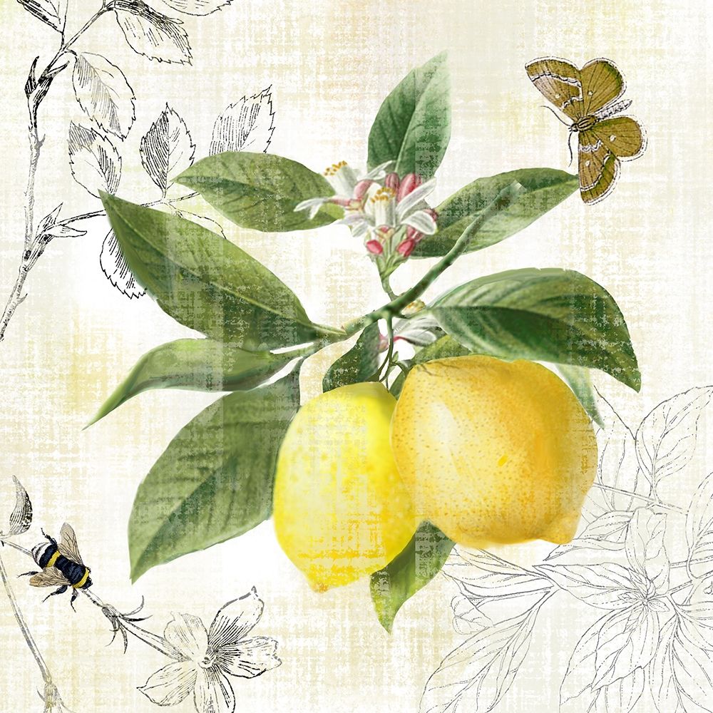 Linen Lemons I art print by Nan for $57.95 CAD