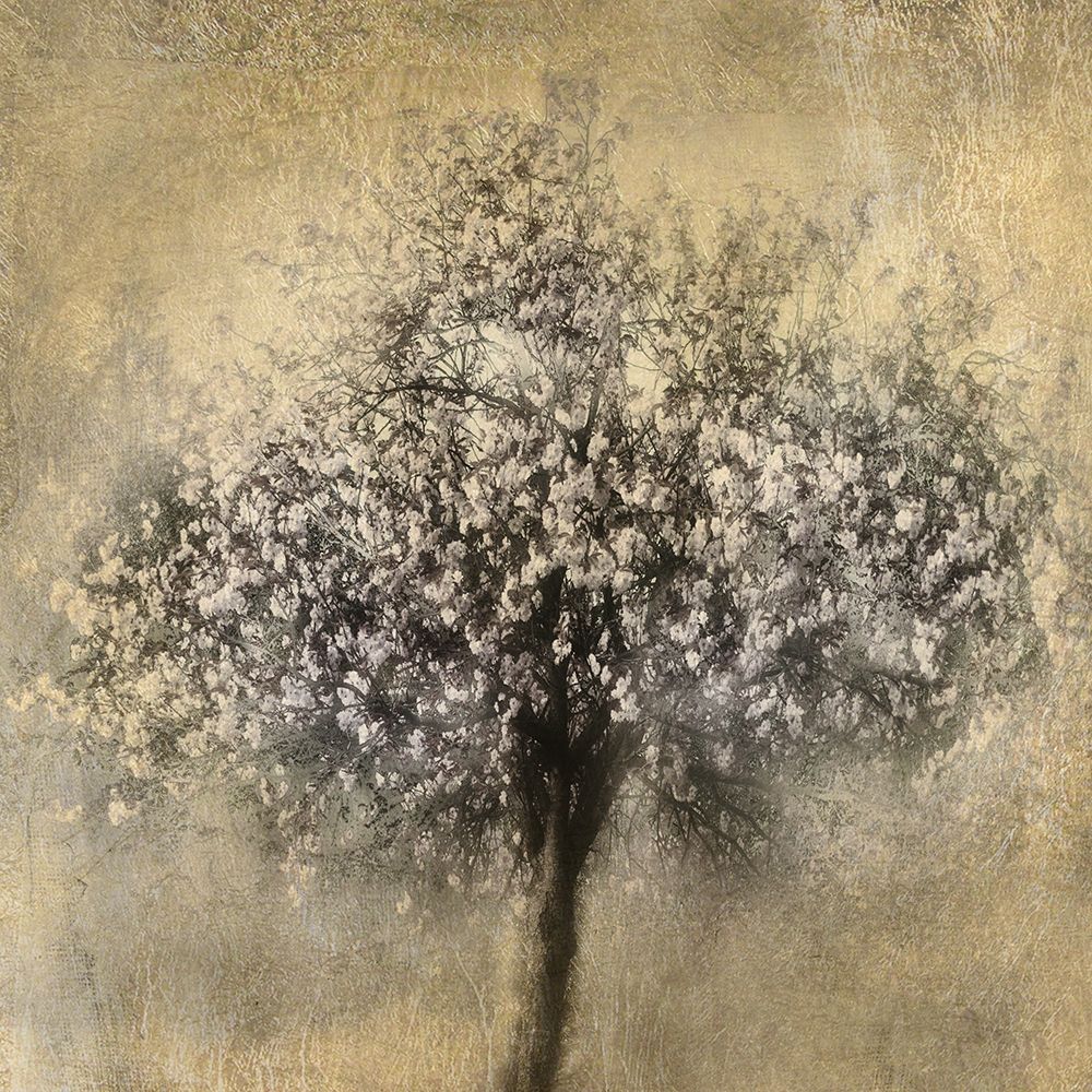 Gold Blossoms art print by Irene Weisz for $57.95 CAD