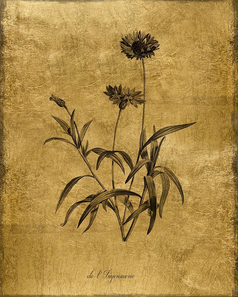 Gold Sketch Botanical I art print by Kelly Donovan for $57.95 CAD