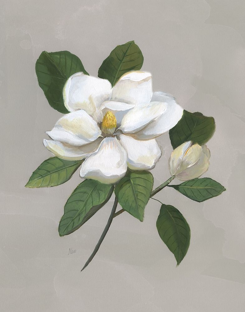Botanical Magnolia art print by Nan for $57.95 CAD