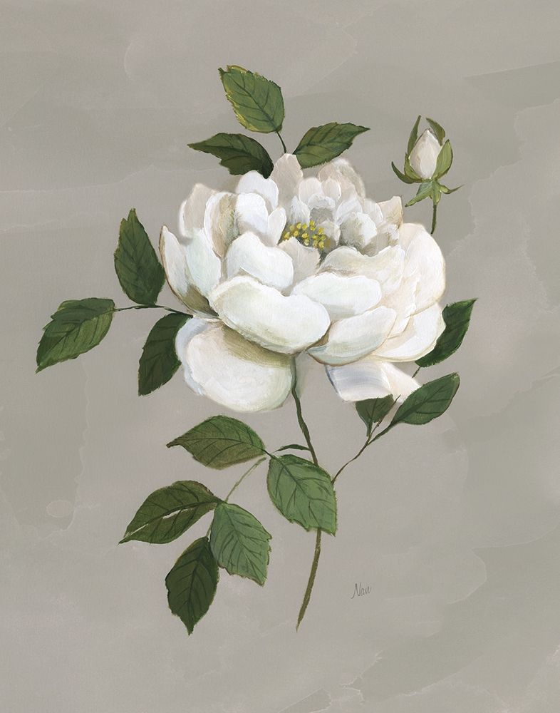 Botanical Rose art print by Nan for $57.95 CAD