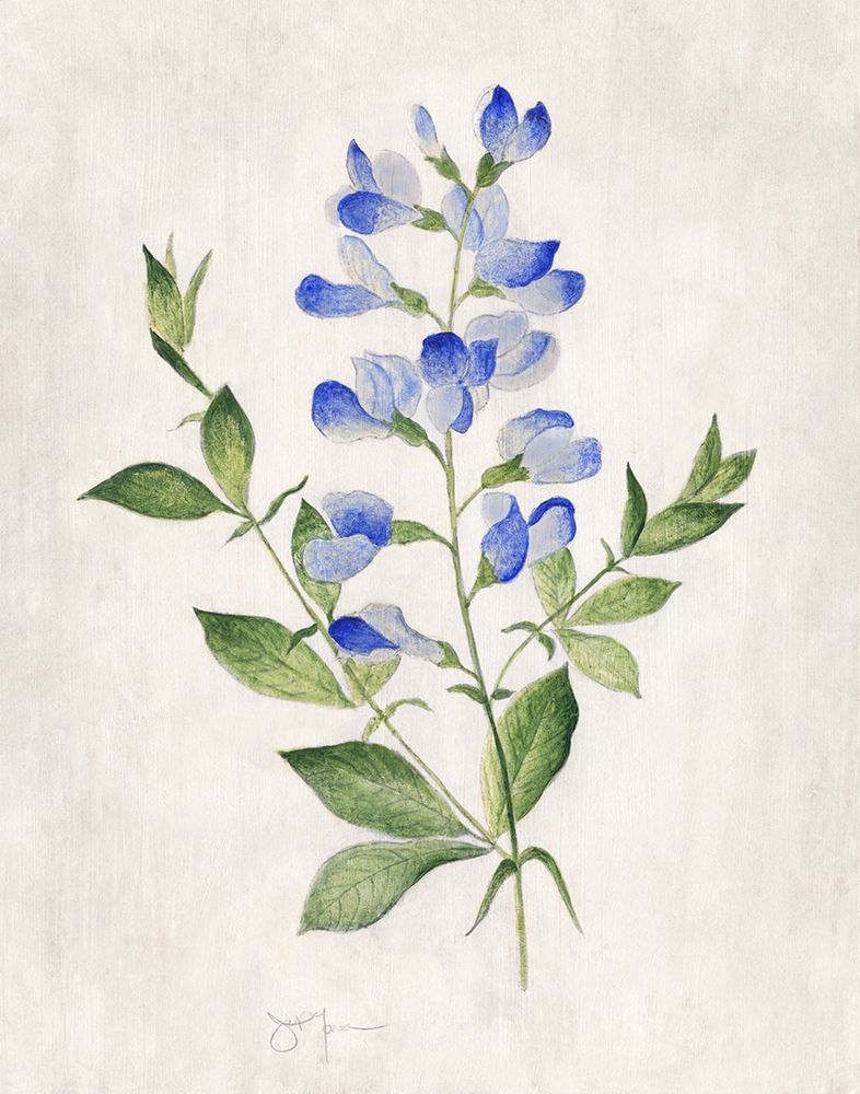 Blue Botanical II art print by Tava Studios for $57.95 CAD