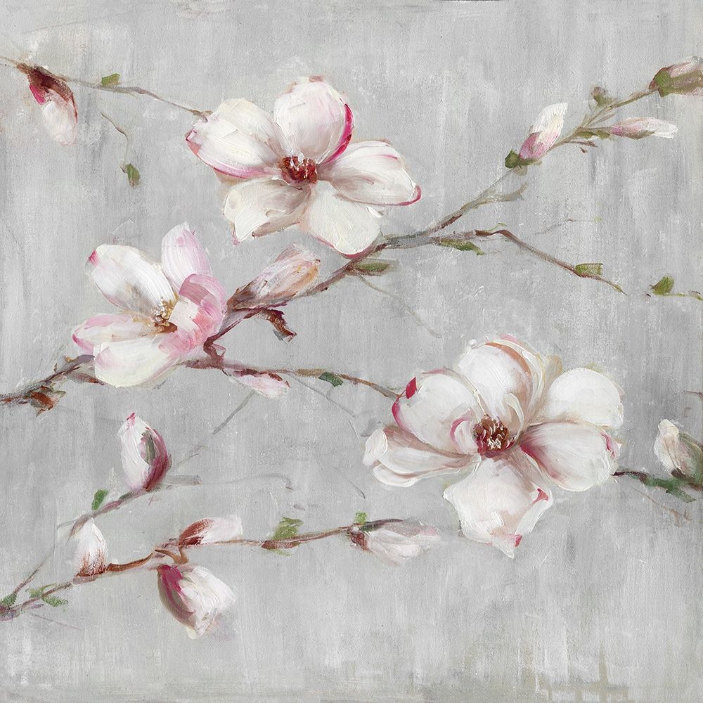 Magnolia Spring I art print by Sally Swatland for $57.95 CAD