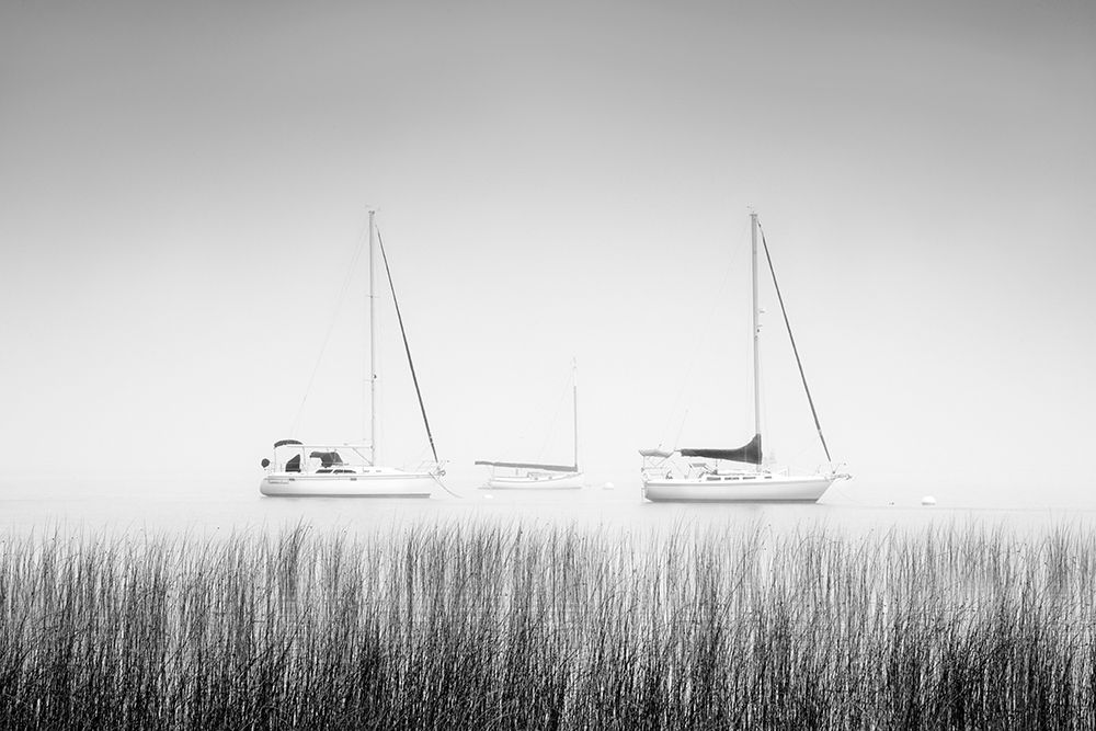 Island Boat art print by Chris Murray for $57.95 CAD