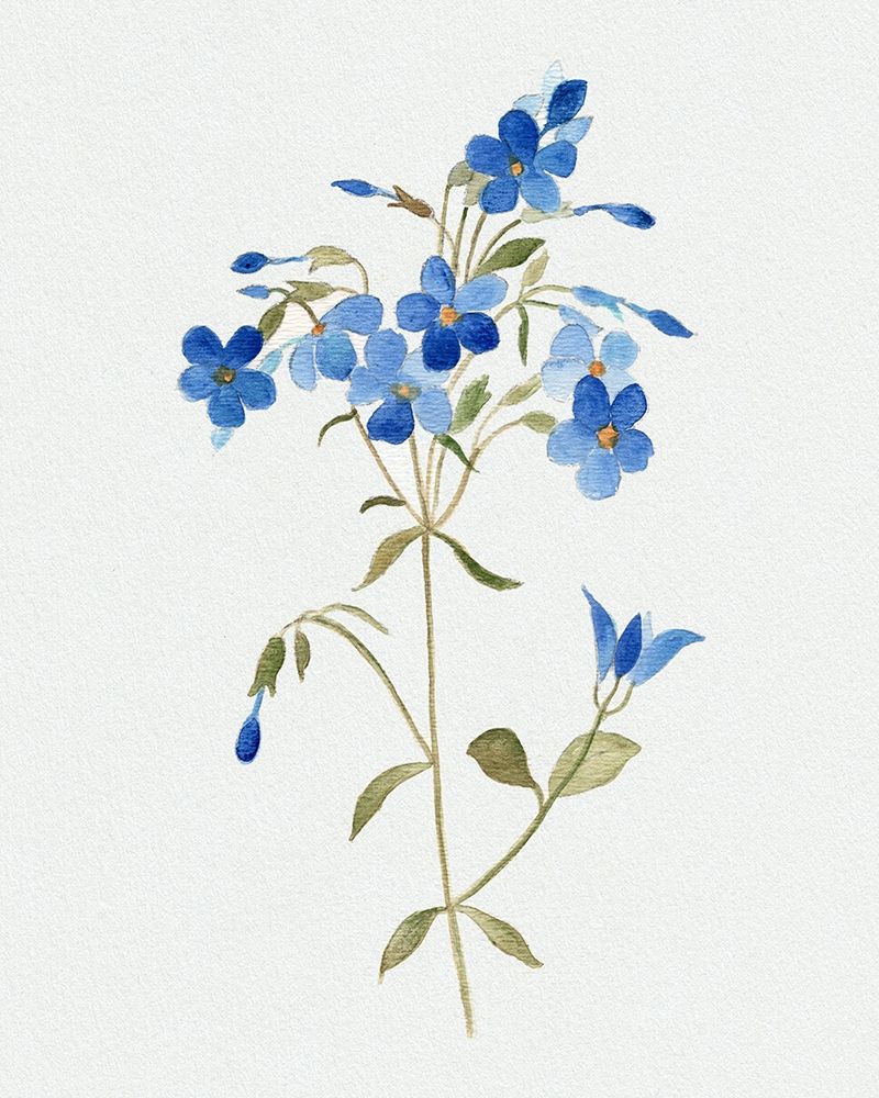 Blue Blossom Botanical II art print by Tava Studios for $57.95 CAD