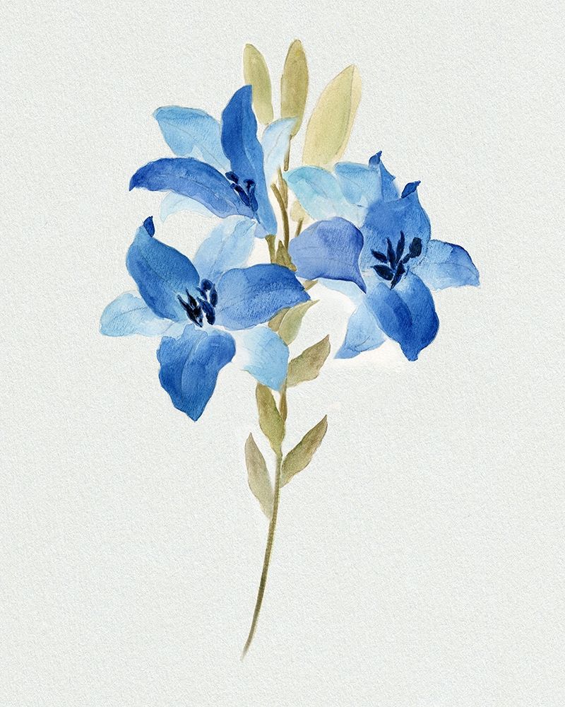 Blue Blossom Botanical III art print by Tava Studios for $57.95 CAD