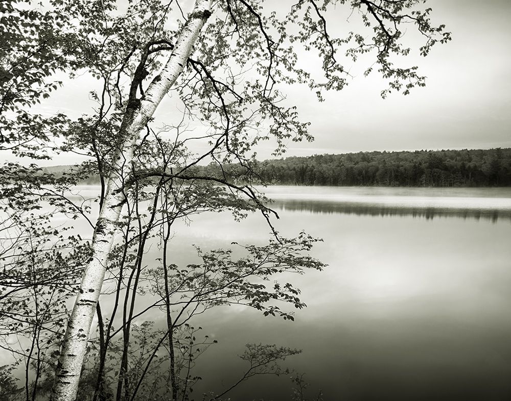 Adirondack Reflections art print by Chris Murray for $57.95 CAD
