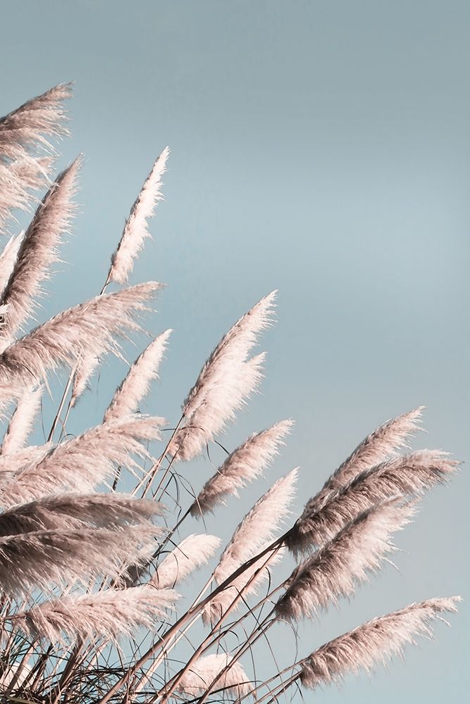 Pretty Pampas II art print by Brent Bergham for $57.95 CAD