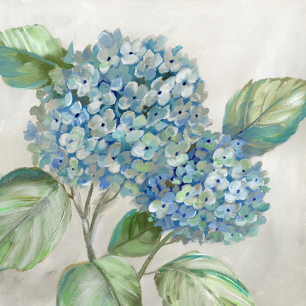 Hydrangea Beauty I art print by Nan for $57.95 CAD