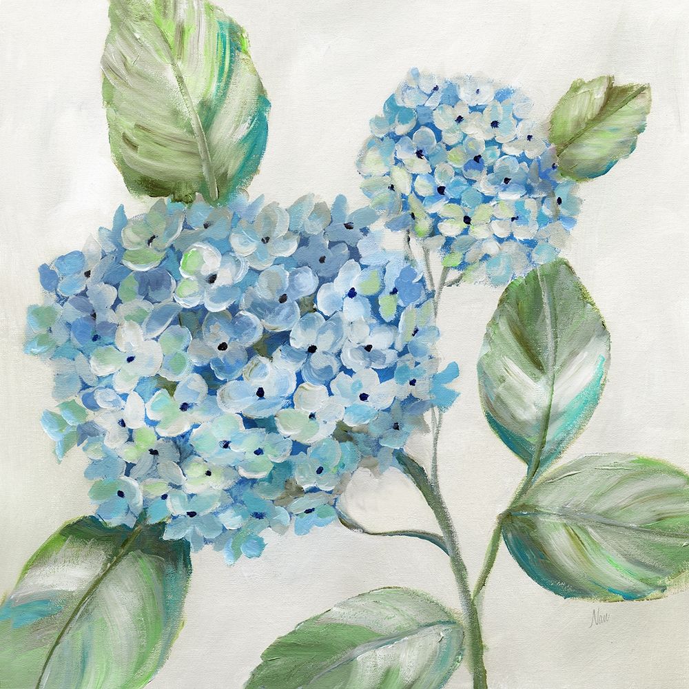 Hydrangea Beauty II art print by Nan for $57.95 CAD