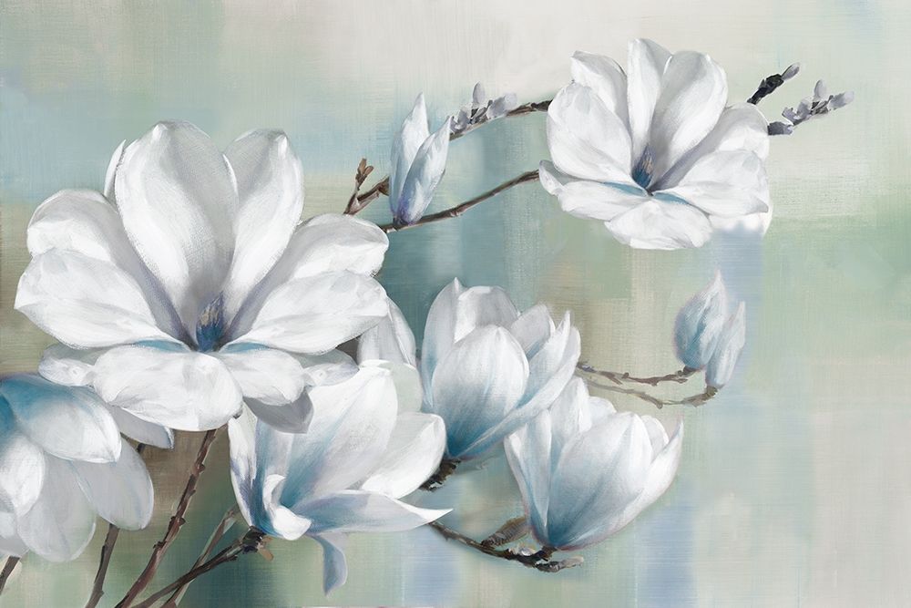 Spring Magnolias art print by Rogier Daniels for $57.95 CAD