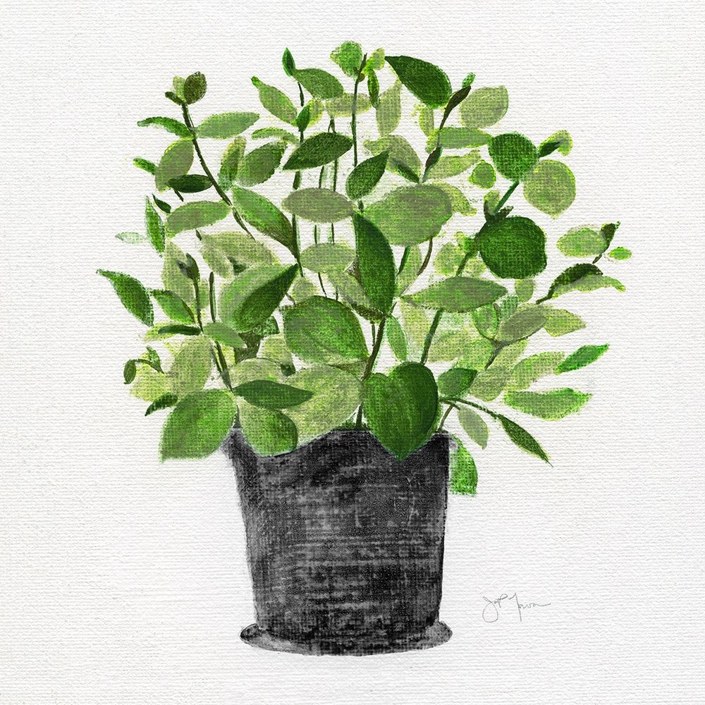Herb Garden I art print by Tava Studios for $57.95 CAD