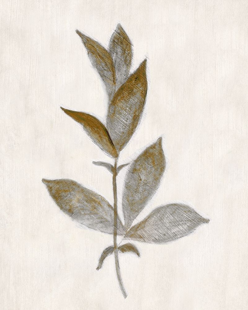 Bronze Leaf II art print by Tava Studios for $57.95 CAD