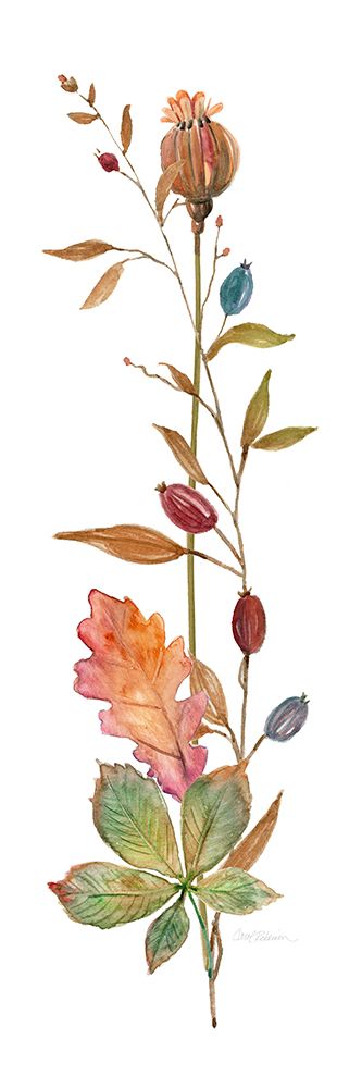Autumn Botanical III art print by Carol Robinson for $57.95 CAD